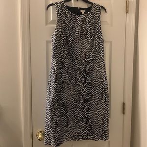 J Crew Navy White Sheath dress